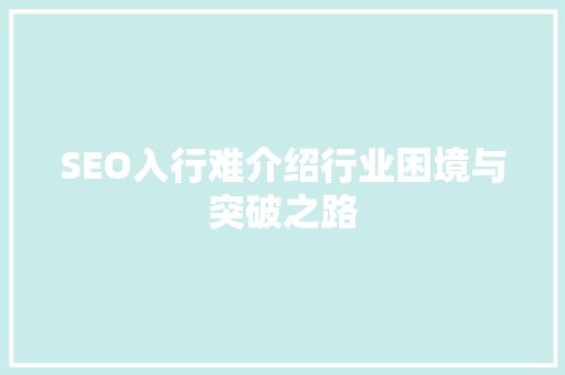 SEO入行难介绍行业困境与突破之路