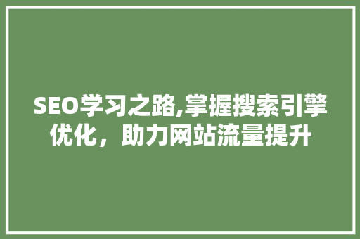 SEO学习之路,掌握搜索引擎优化，助力网站流量提升