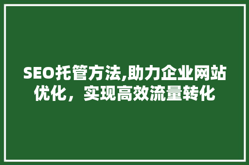 SEO托管方法,助力企业网站优化，实现高效流量转化