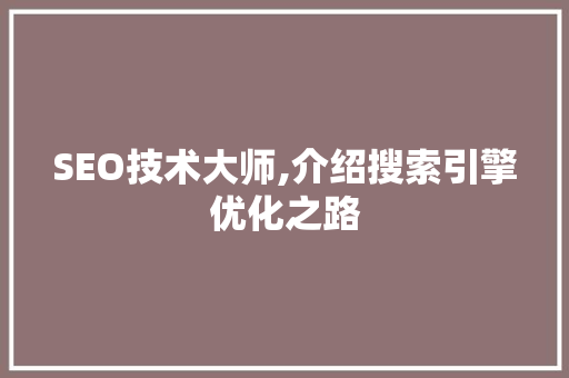 SEO技术大师,介绍搜索引擎优化之路