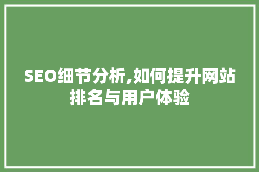 SEO细节分析,如何提升网站排名与用户体验