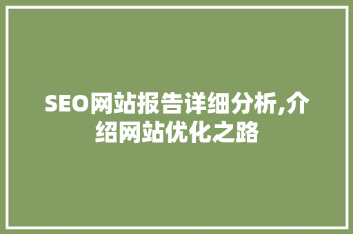 SEO网站报告详细分析,介绍网站优化之路