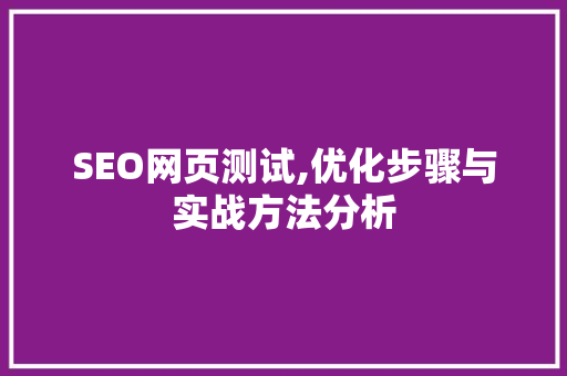 SEO网页测试,优化步骤与实战方法分析