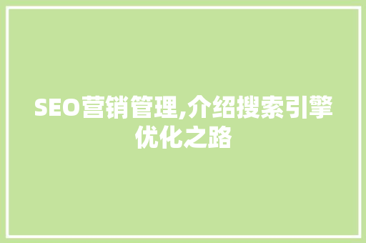 SEO营销管理,介绍搜索引擎优化之路