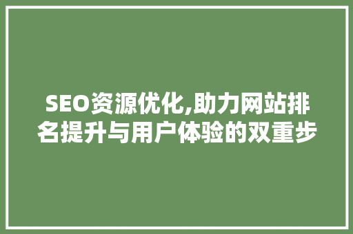 SEO资源优化,助力网站排名提升与用户体验的双重步骤