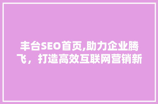 丰台SEO首页,助力企业腾飞，打造高效互联网营销新篇章