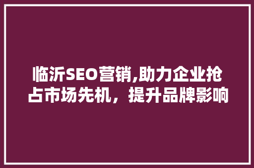 临沂SEO营销,助力企业抢占市场先机，提升品牌影响力