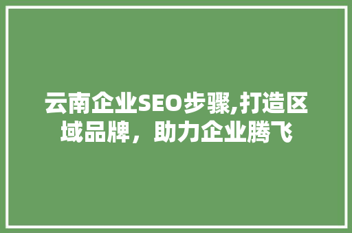 云南企业SEO步骤,打造区域品牌，助力企业腾飞