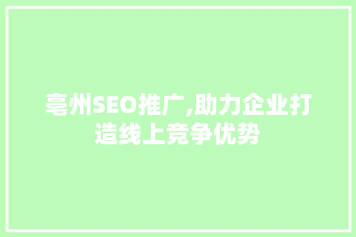 亳州SEO推广,助力企业打造线上竞争优势