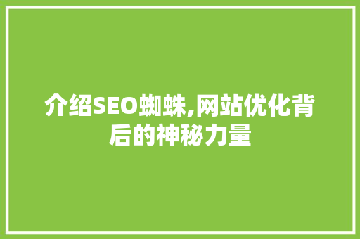介绍SEO蜘蛛,网站优化背后的神秘力量