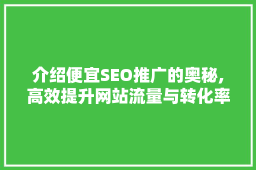 介绍便宜SEO推广的奥秘,高效提升网站流量与转化率