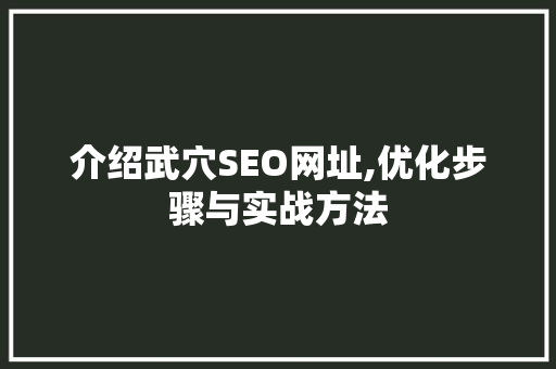 介绍武穴SEO网址,优化步骤与实战方法