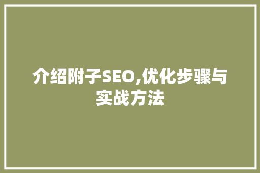 介绍附子SEO,优化步骤与实战方法