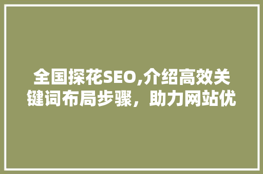 全国探花SEO,介绍高效关键词布局步骤，助力网站优化