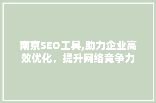 南京SEO工具,助力企业高效优化，提升网络竞争力