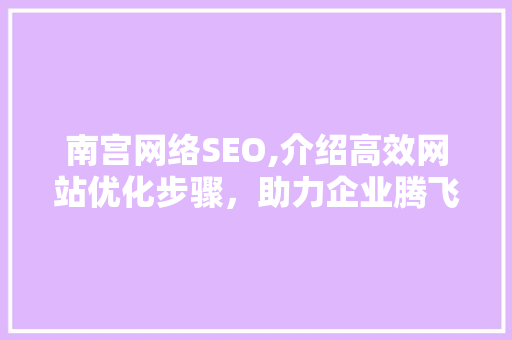 南宫网络SEO,介绍高效网站优化步骤，助力企业腾飞