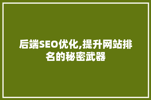 后端SEO优化,提升网站排名的秘密武器