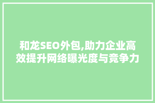 和龙SEO外包,助力企业高效提升网络曝光度与竞争力