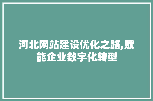 河北网站建设优化之路,赋能企业数字化转型