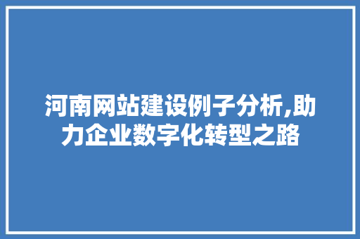 河南网站建设例子分析,助力企业数字化转型之路