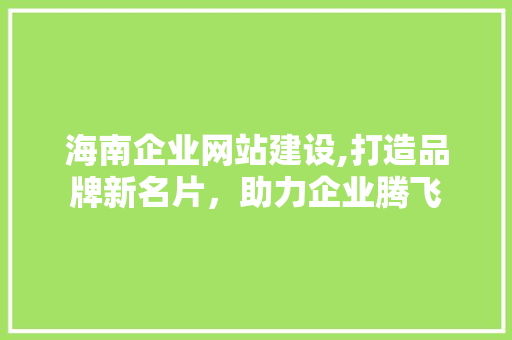 海南企业网站建设,打造品牌新名片，助力企业腾飞