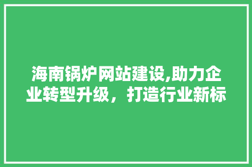 海南锅炉网站建设,助力企业转型升级，打造行业新标杆