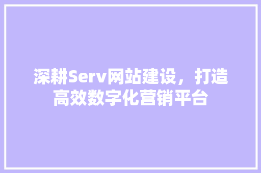 深耕Serv网站建设，打造高效数字化营销平台