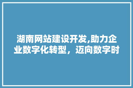 湖南网站建设开发,助力企业数字化转型，迈向数字时代新篇章