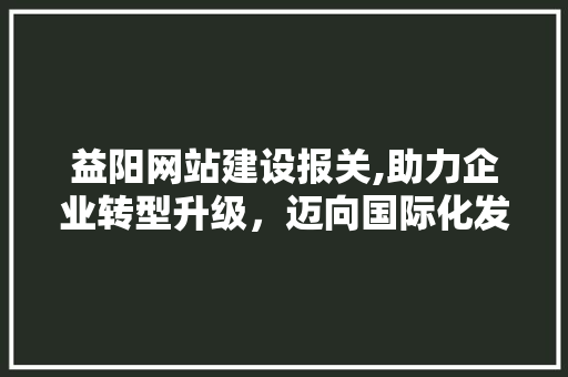 益阳网站建设报关,助力企业转型升级，迈向国际化发展新篇章