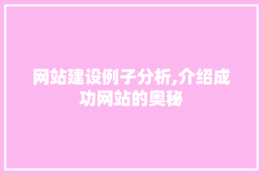 网站建设例子分析,介绍成功网站的奥秘