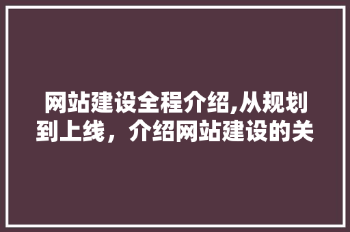 网站建设全程介绍,从规划到上线，介绍网站建设的关键步骤