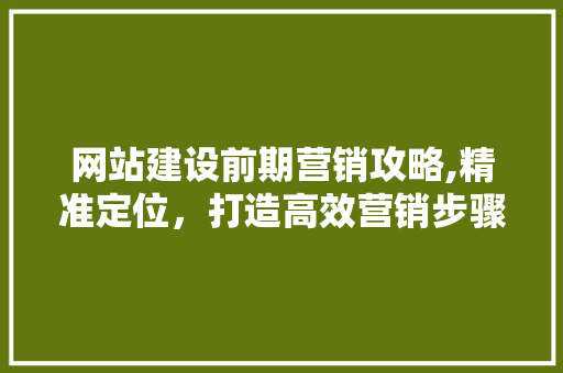 网站建设前期营销攻略,精准定位，打造高效营销步骤