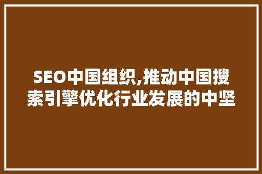 SEO中国组织,推动中国搜索引擎优化行业发展的中坚力量