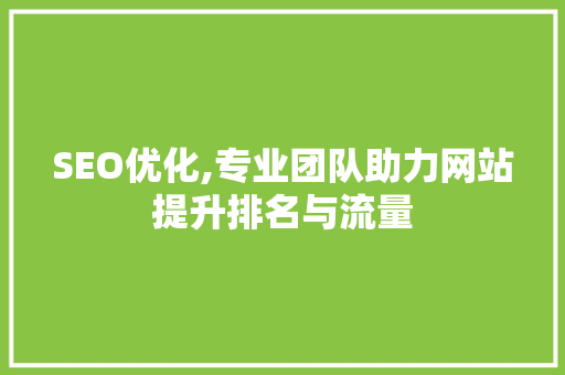SEO优化,专业团队助力网站提升排名与流量