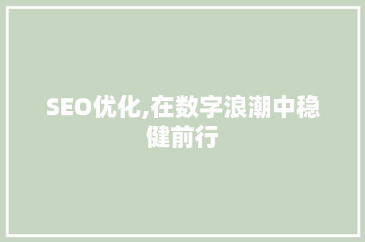 SEO优化,在数字浪潮中稳健前行