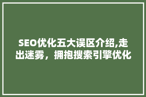 SEO优化五大误区介绍,走出迷雾，拥抱搜索引擎优化新境界