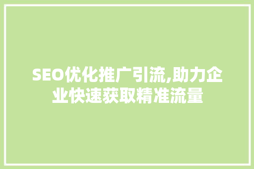 SEO优化推广引流,助力企业快速获取精准流量