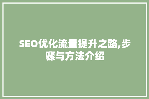 SEO优化流量提升之路,步骤与方法介绍