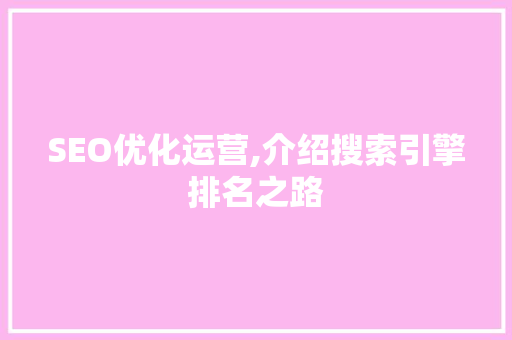 SEO优化运营,介绍搜索引擎排名之路