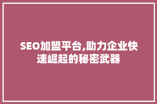 SEO加盟平台,助力企业快速崛起的秘密武器