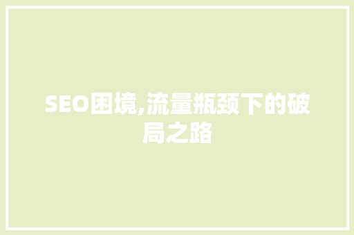 SEO困境,流量瓶颈下的破局之路