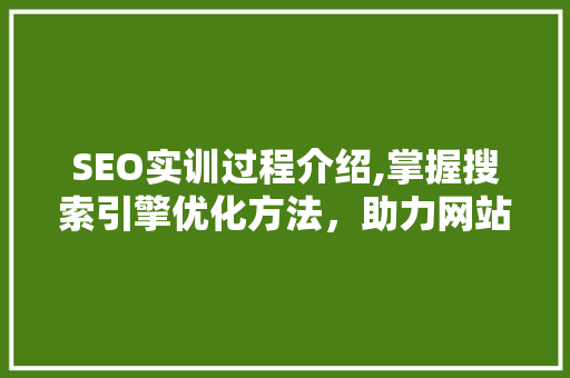 SEO实训过程介绍,掌握搜索引擎优化方法，助力网站流量增长