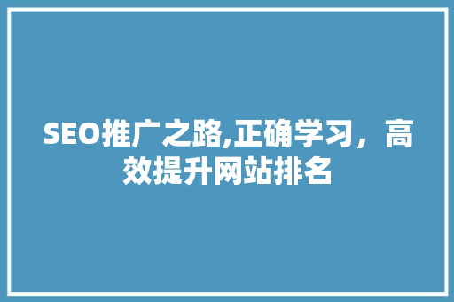SEO推广之路,正确学习，高效提升网站排名