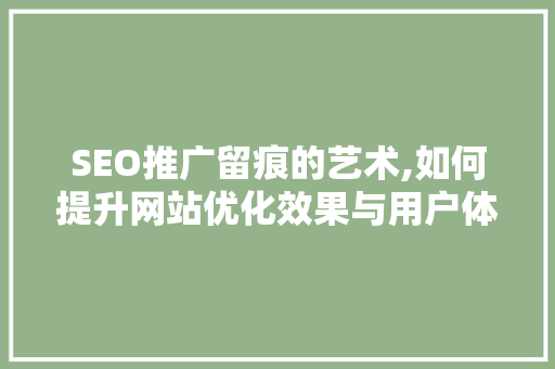 SEO推广留痕的艺术,如何提升网站优化效果与用户体验