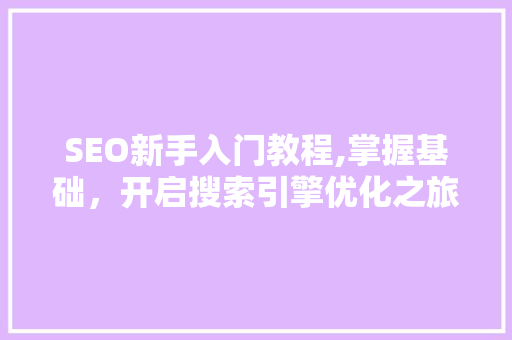 SEO新手入门教程,掌握基础，开启搜索引擎优化之旅