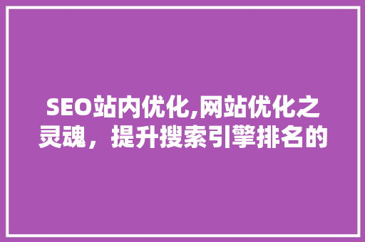 SEO站内优化,网站优化之灵魂，提升搜索引擎排名的关键