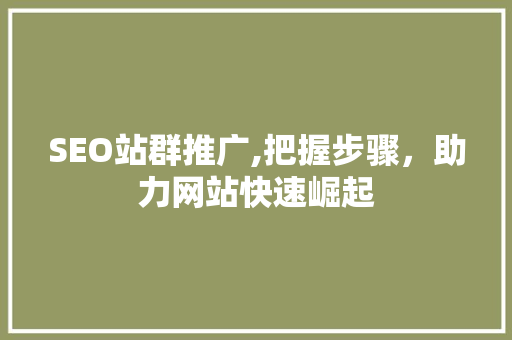 SEO站群推广,把握步骤，助力网站快速崛起