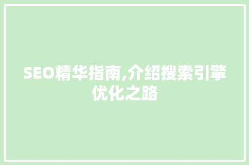 SEO精华指南,介绍搜索引擎优化之路
