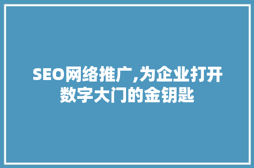SEO网络推广,为企业打开数字大门的金钥匙