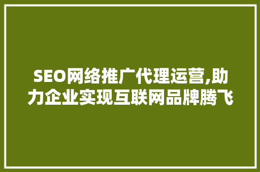 SEO网络推广代理运营,助力企业实现互联网品牌腾飞